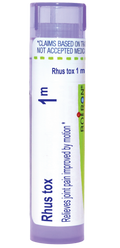 variant:80 pellets