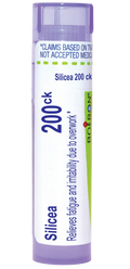 variant:80 pellets