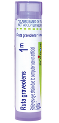 variant:80 pellets