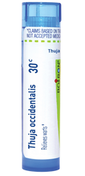 variant:80 pellets
