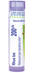 variant:80 pellets