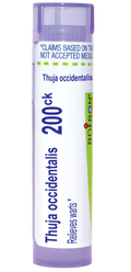 variant:80 pellets