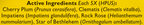 variant:35 Lozenges