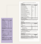 variant:30 packets