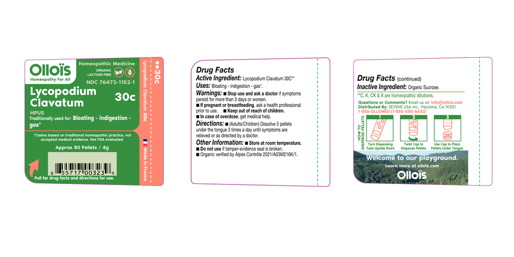 variant:80 pellets