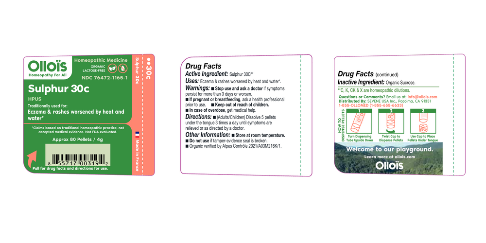 variant:80 pellets