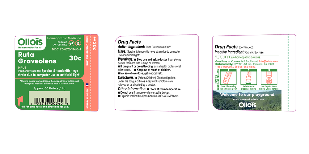 variant:80 pellets